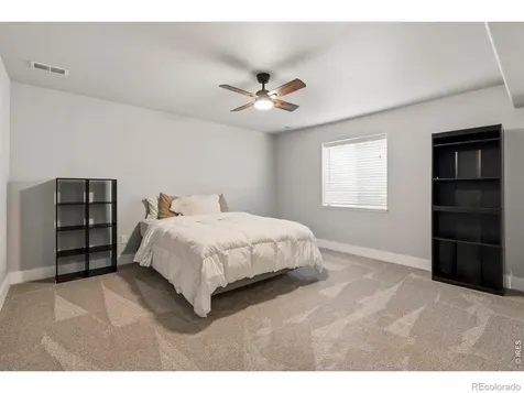 245 Plum Court Windsor CO 80550