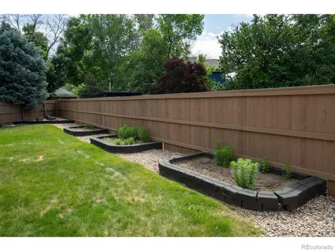 245 Plum Court Windsor CO 80550