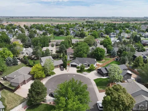 245 Plum Court Windsor CO 80550