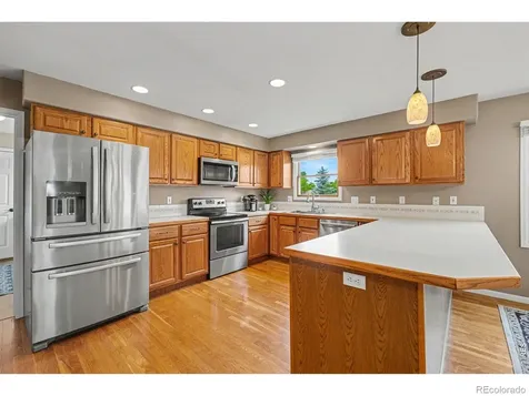 204 Pelican Cove Windsor CO 80550