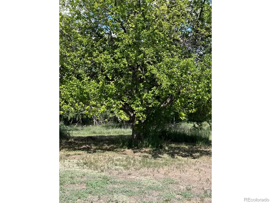 21378 County Road 21 Fort Morgan CO 80701