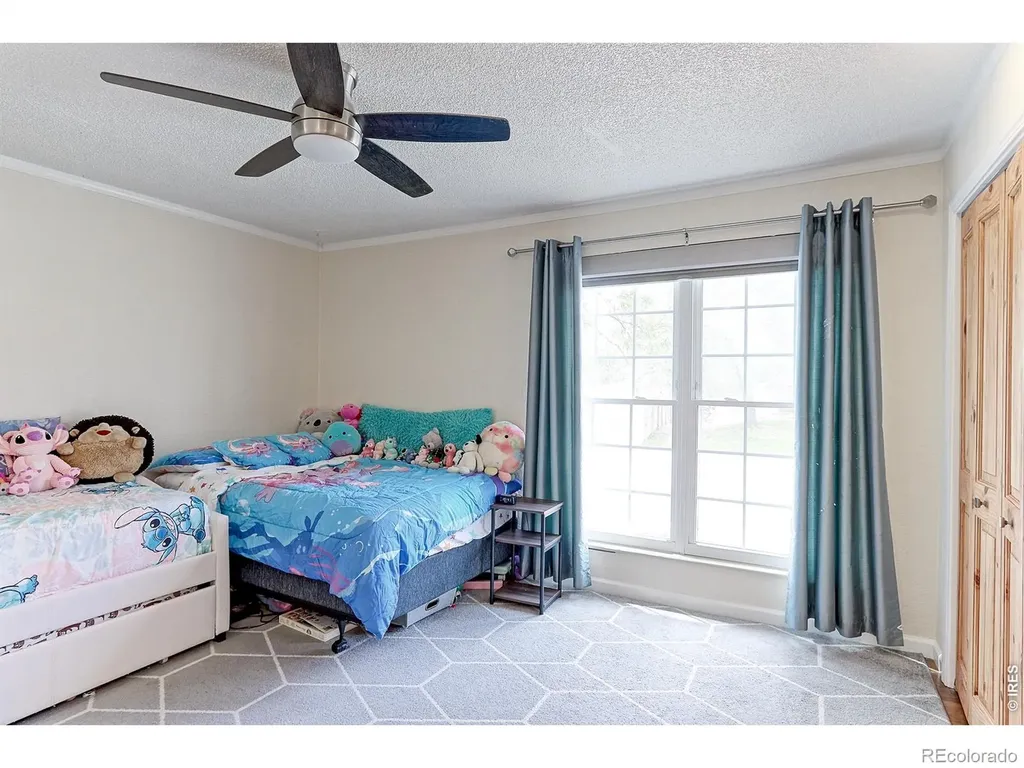 10939 Grange Creek Drive Thornton CO 80233