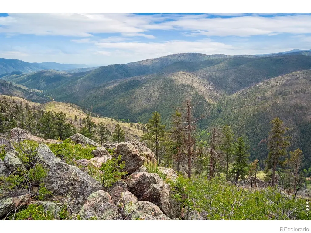0 Spencer Mountain Road Bellvue CO 80512