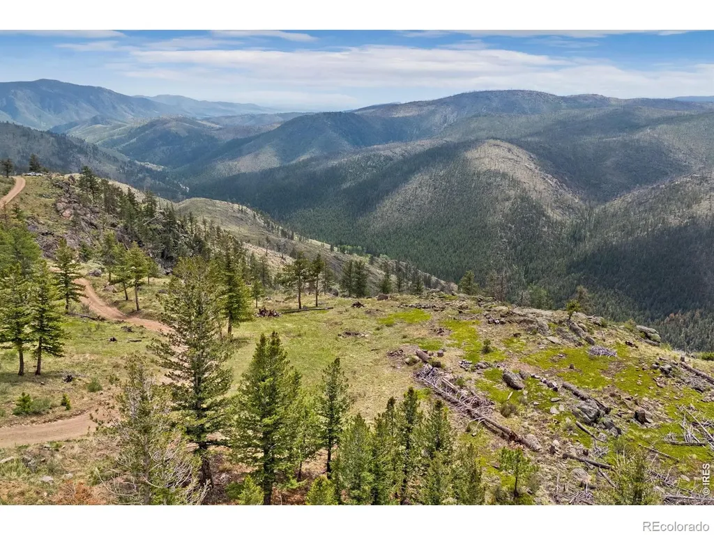0 Spencer Mountain Road Bellvue CO 80512