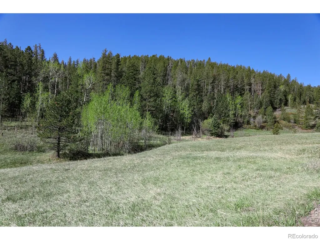 2900 Pole Hill Road Estes Park CO 80517