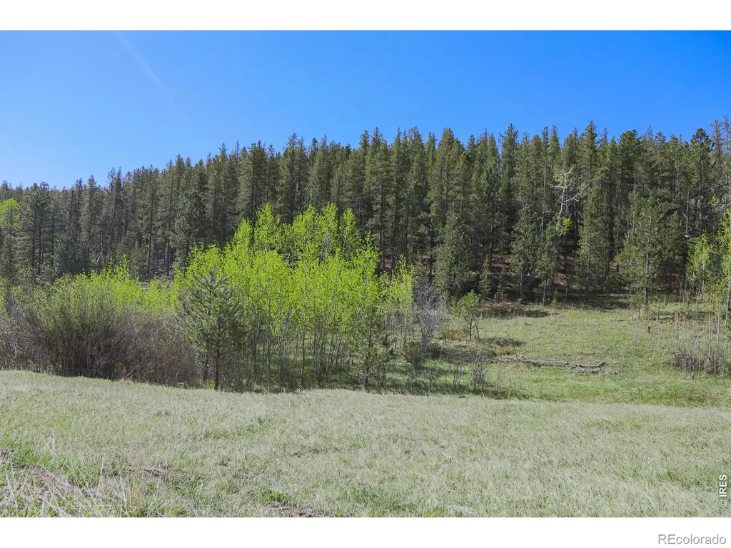 2900 Pole Hill Road Estes Park CO 80517