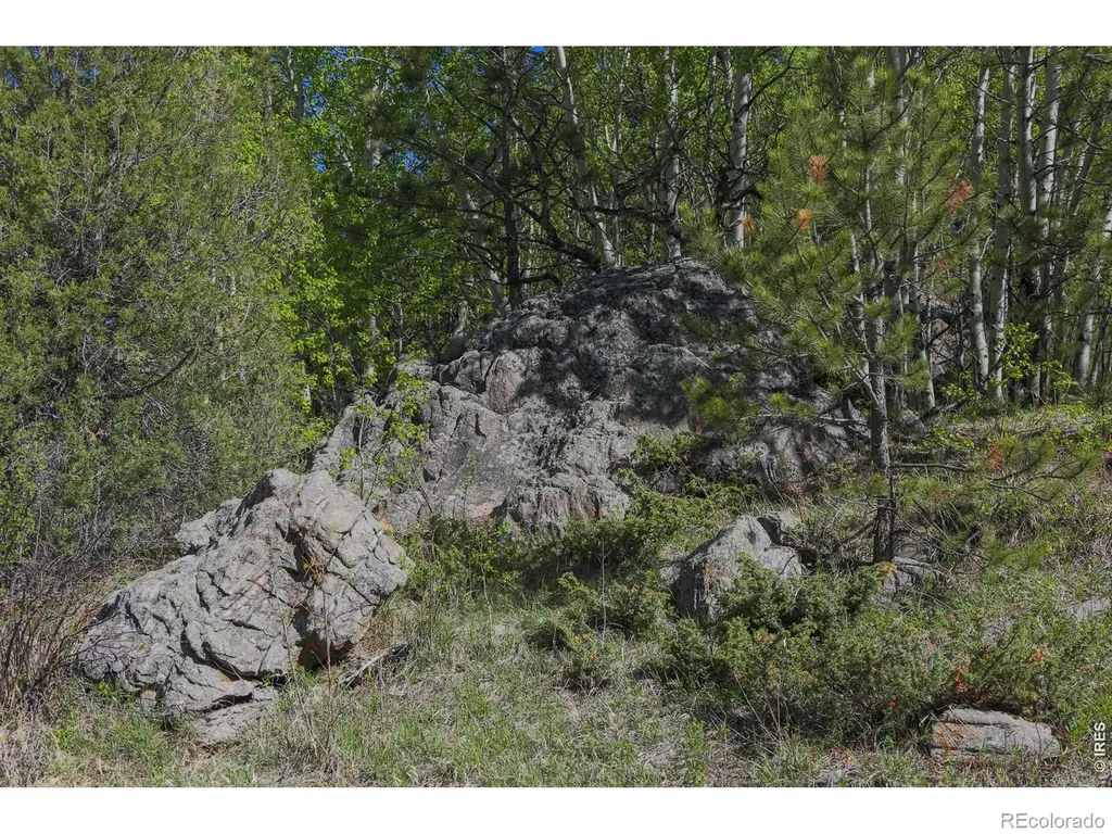 2900 Pole Hill Road Estes Park CO 80517