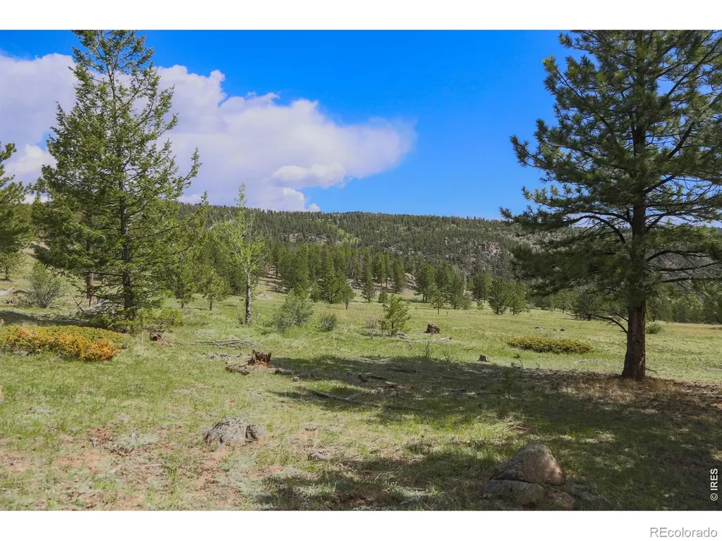 2900 Pole Hill Road Estes Park CO 80517