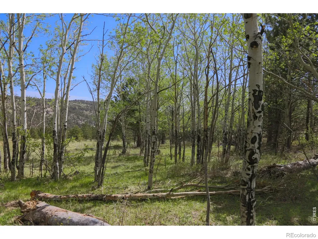 2900 Pole Hill Road Estes Park CO 80517