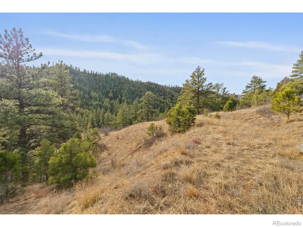 5771 Obenchain Road Laporte CO 80535