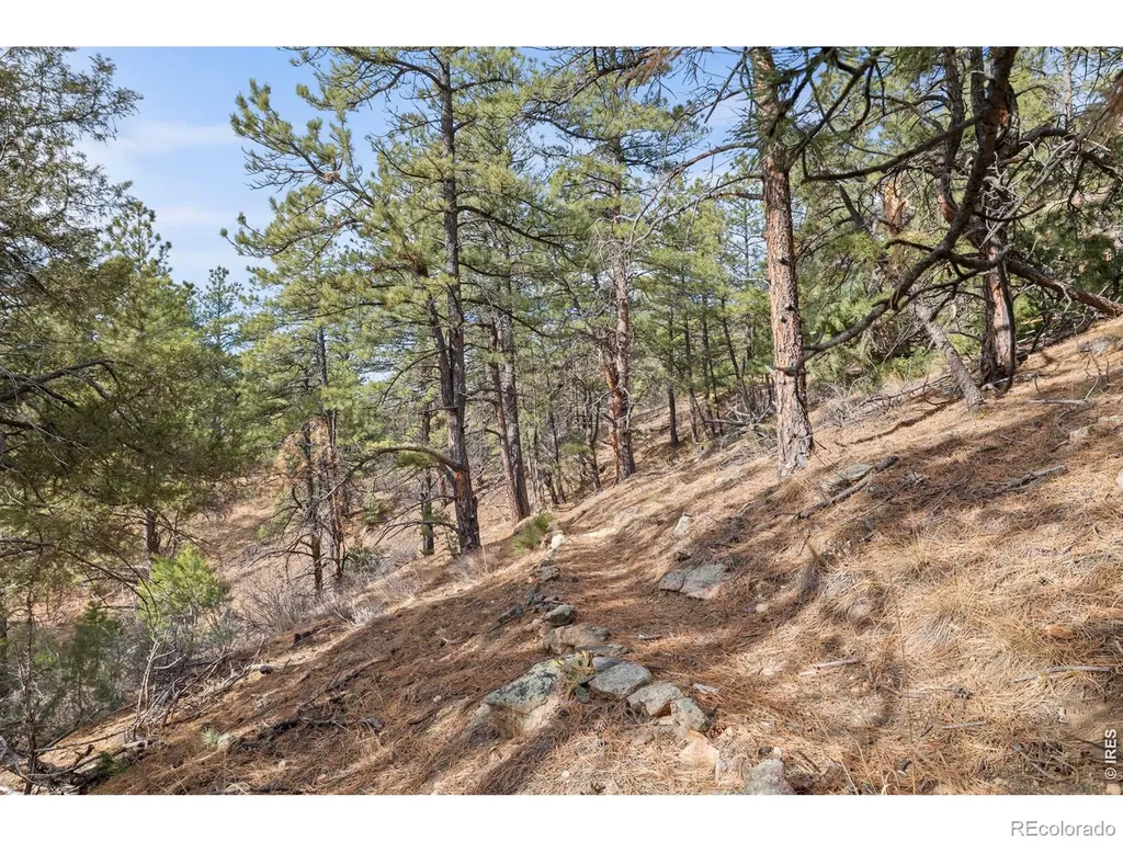 5771 Obenchain Road Laporte CO 80535