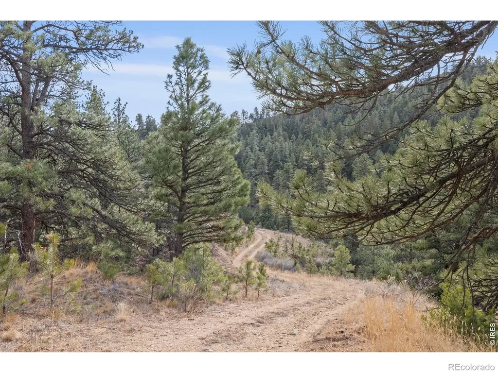5771 Obenchain Road Laporte CO 80535