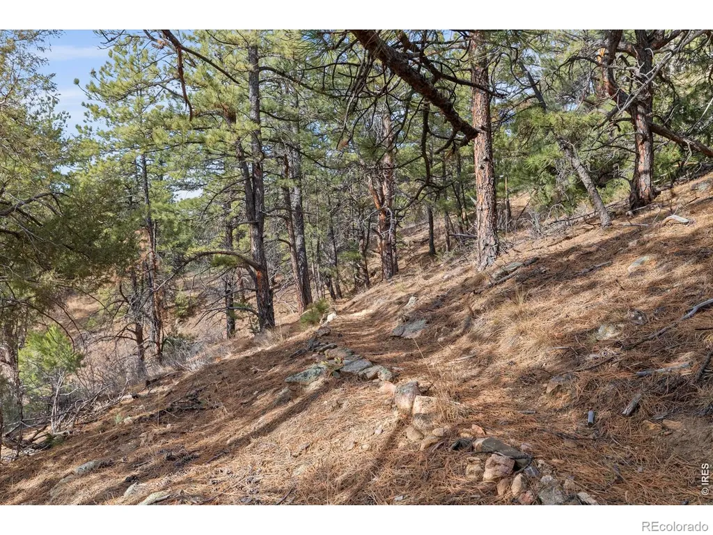 5771 Obenchain Road Laporte CO 80535