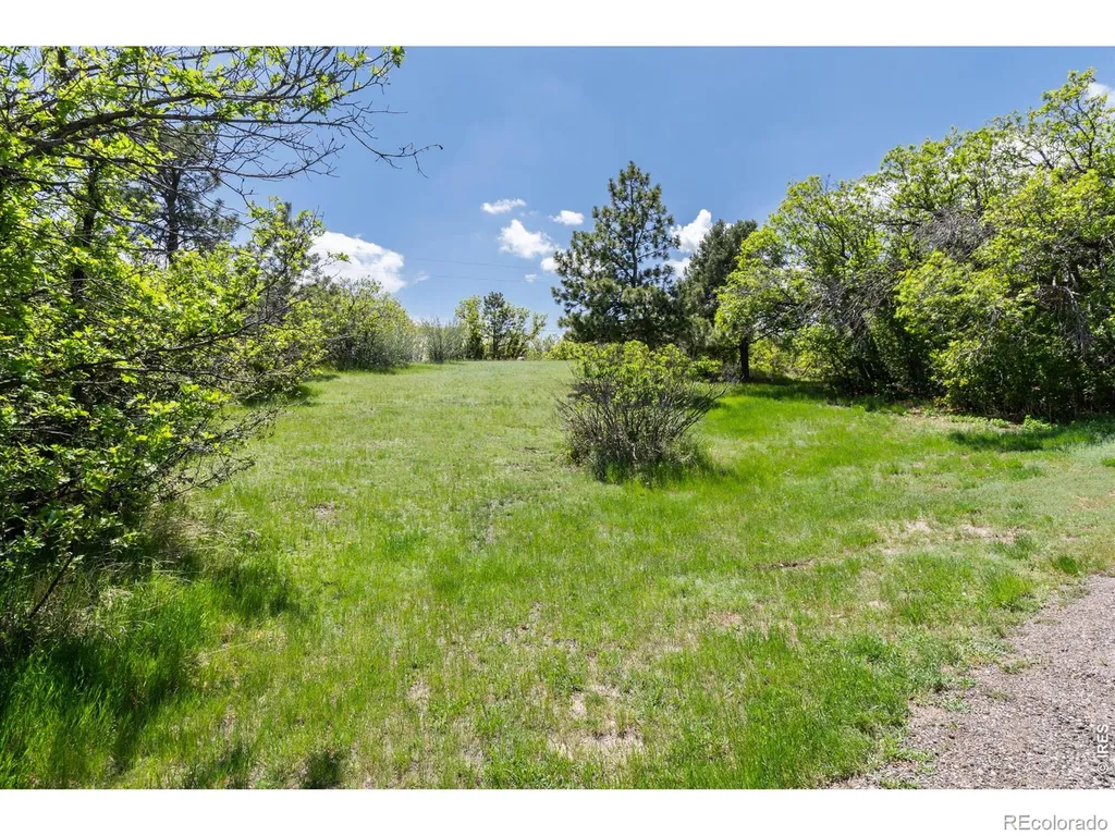 9369 N Palomino Drive Castle Rock CO 80108