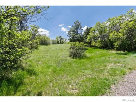 9369 N Palomino Drive Castle Rock CO 80108