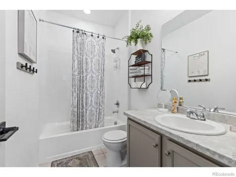 5524 Bexley Drive Windsor CO 80550