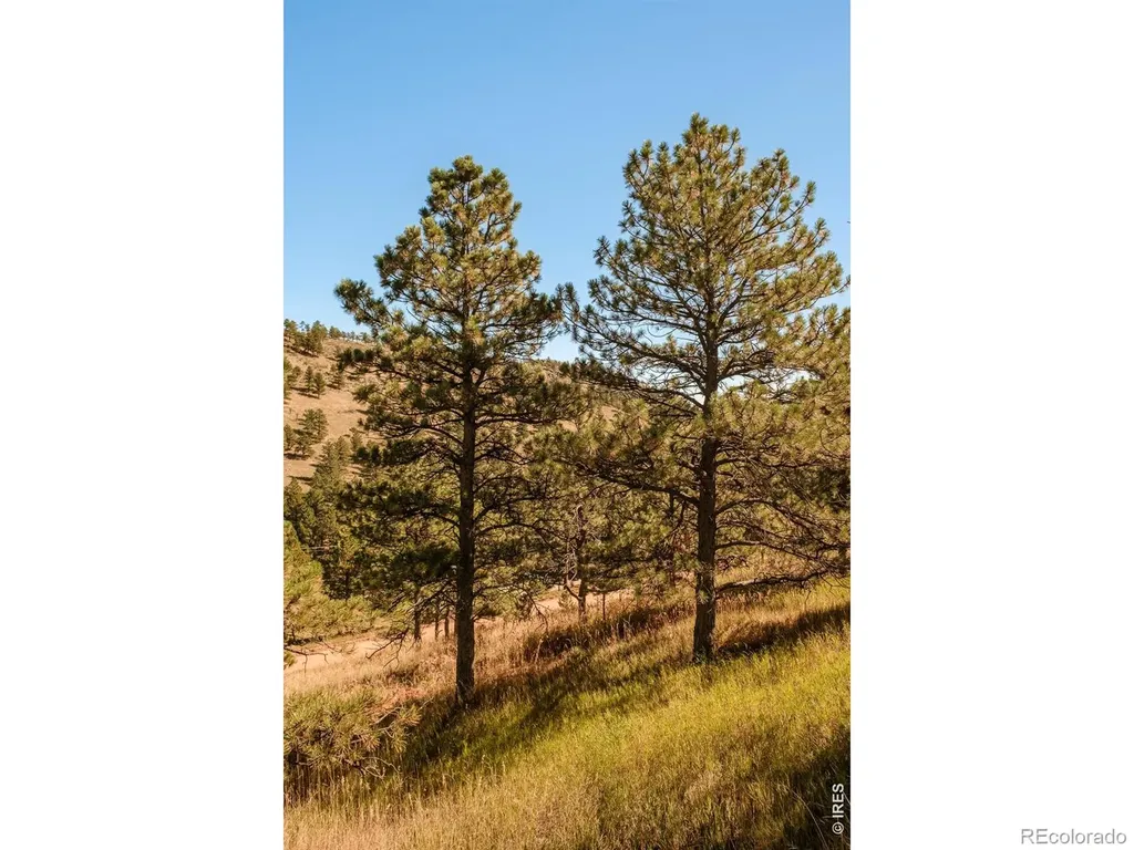 6365 Red Hill Road Boulder CO 80302