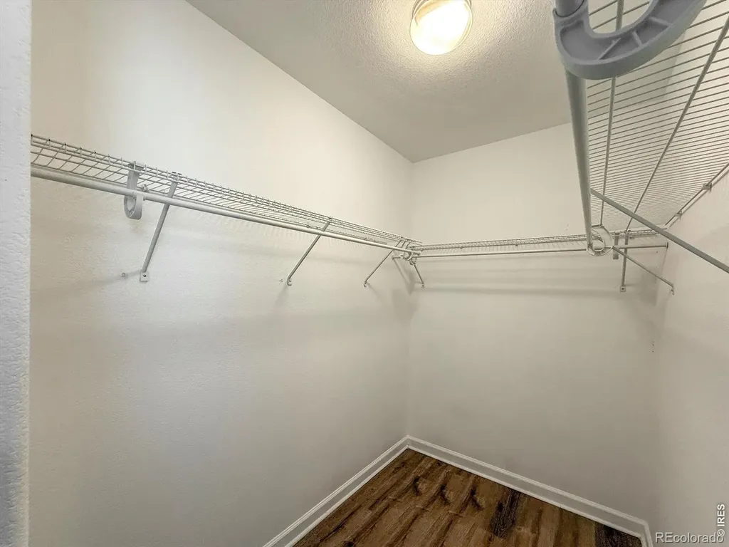 918 Cliffrose Way Severance CO 80550