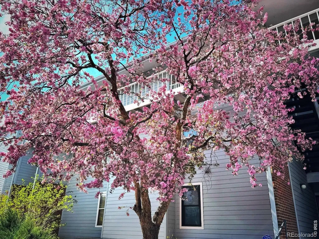 3121 S Tamarac Drive Denver CO 80231