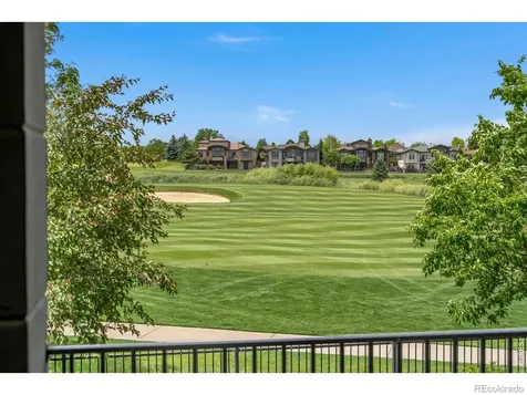 6355 Crooked Stick Drive Windsor CO 80550