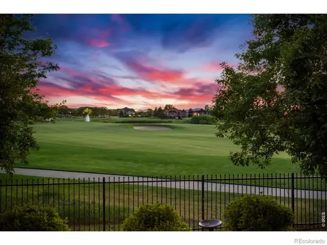 6355 Crooked Stick Drive Windsor CO 80550