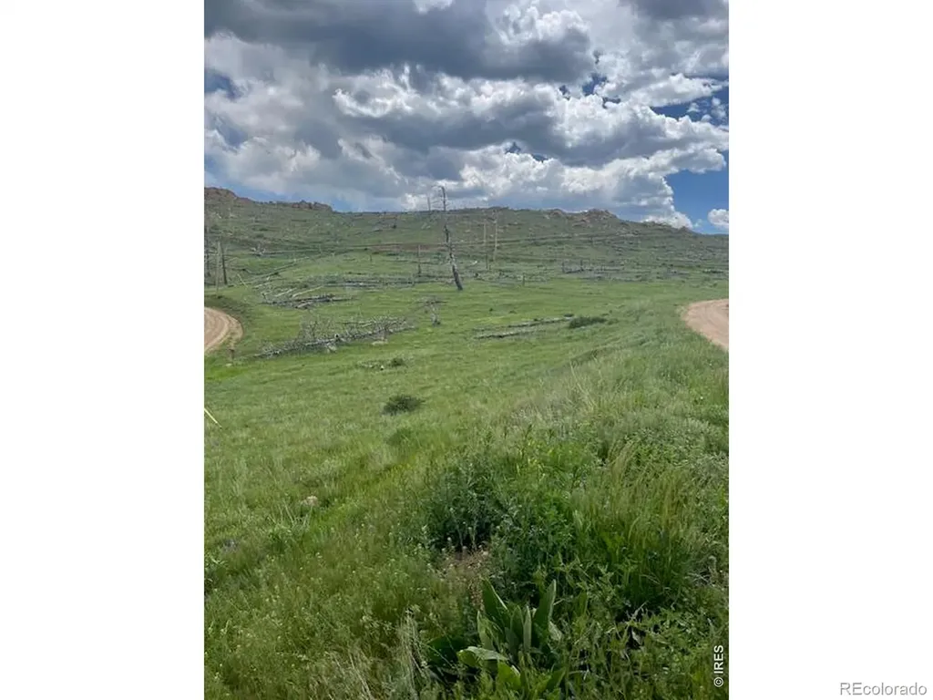 598 Mount Mcconnell Drive Livermore CO 80536