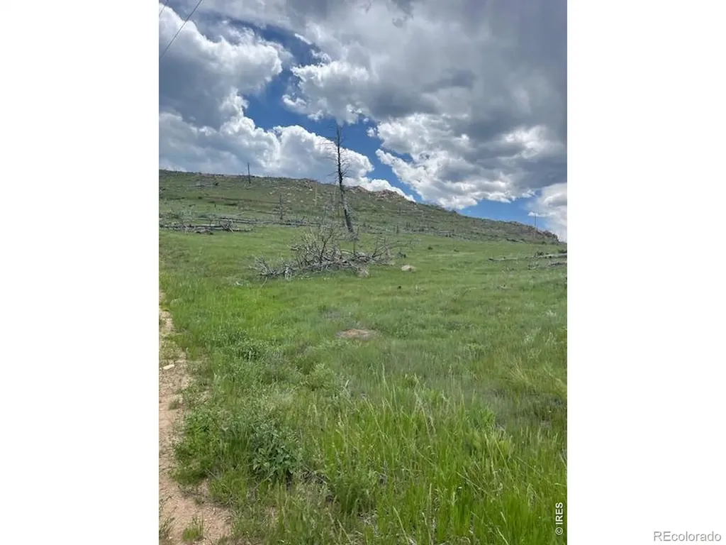 598 Mount Mcconnell Drive Livermore CO 80536
