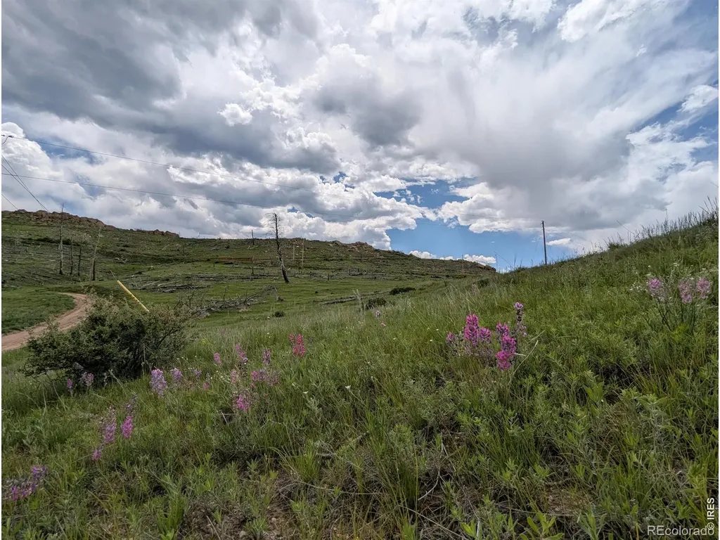 598 Mount Mcconnell Drive Livermore CO 80536