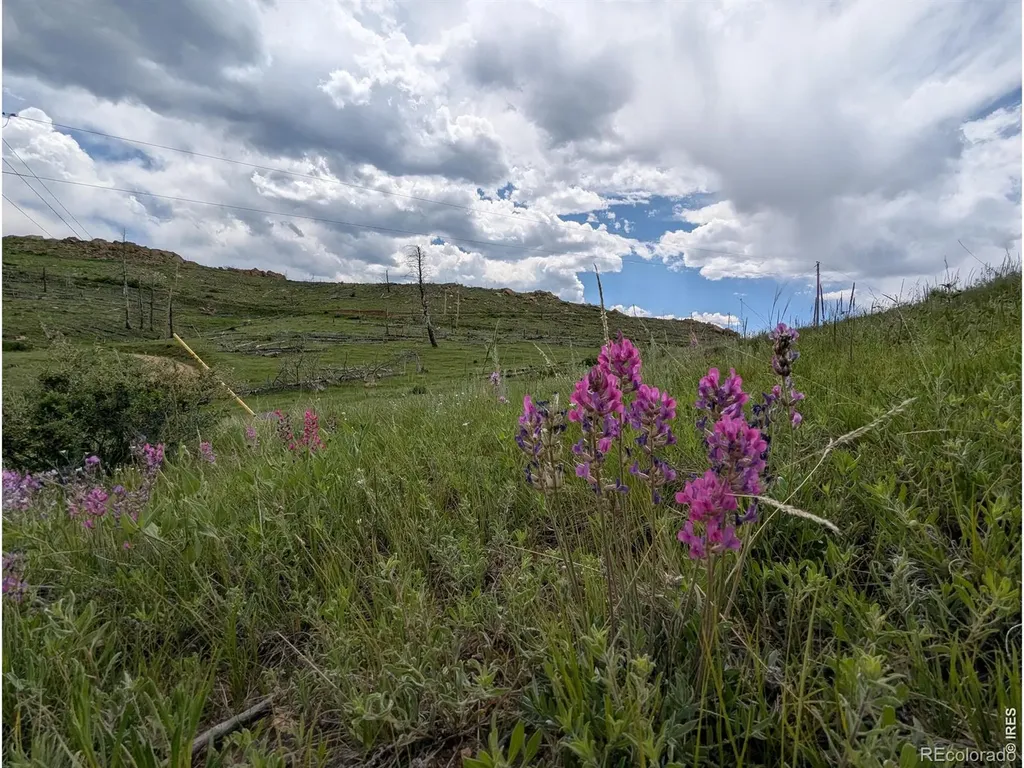 598 Mount Mcconnell Drive Livermore CO 80536