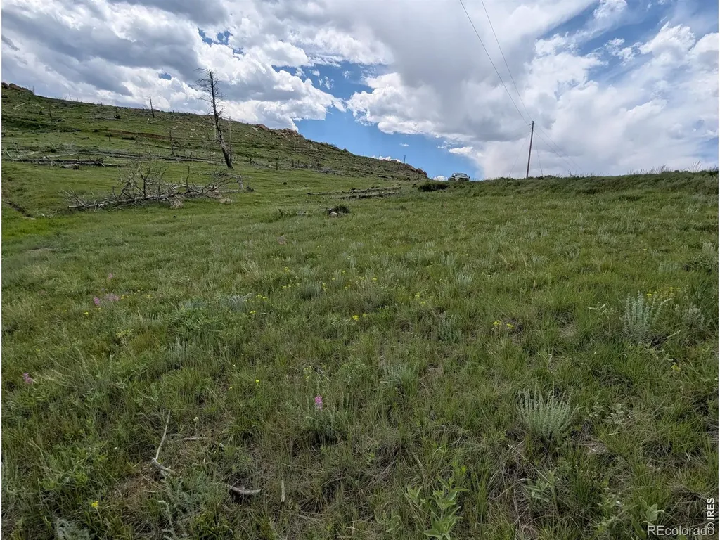 598 Mount Mcconnell Drive Livermore CO 80536