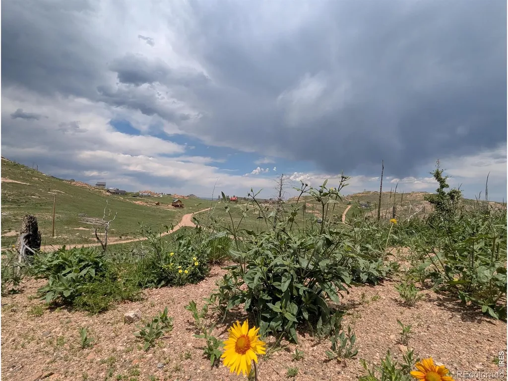 598 Mount Mcconnell Drive Livermore CO 80536