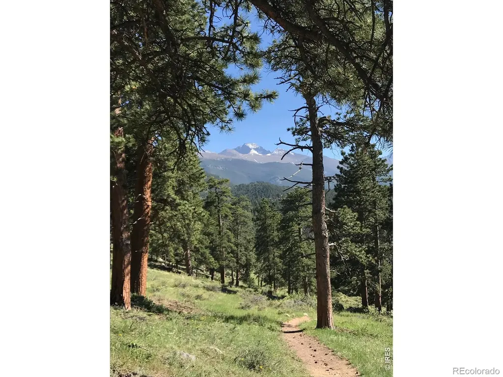 2340 Eagle Cliff Road Estes Park CO 80517