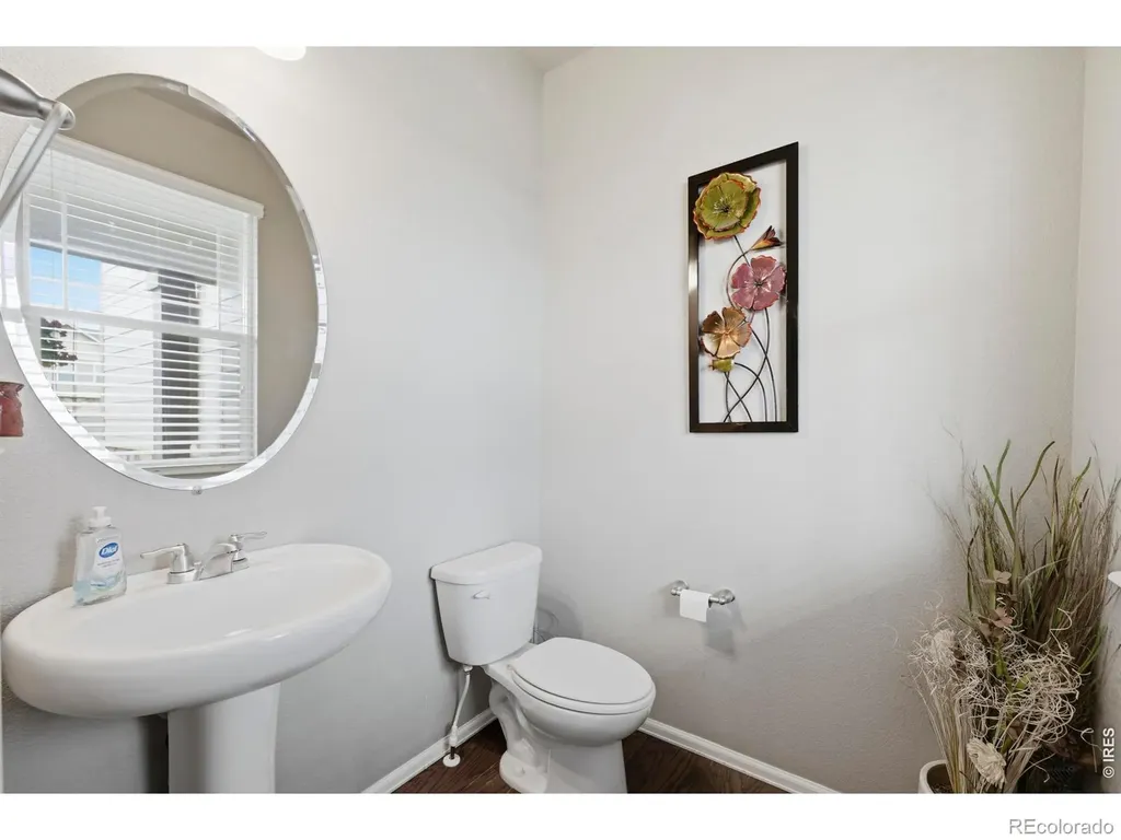 2273 Stonefish Drive Windsor CO 80550