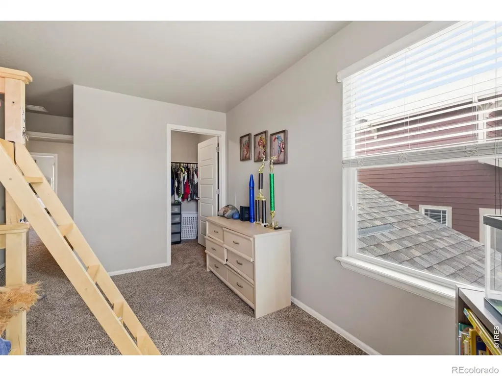 2273 Stonefish Drive Windsor CO 80550