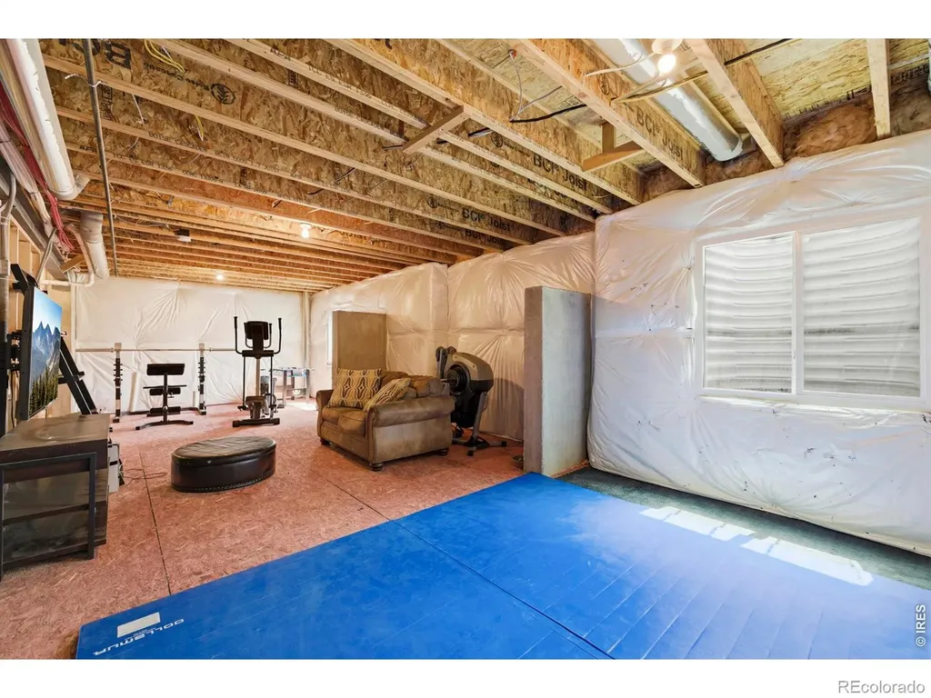 2273 Stonefish Drive Windsor CO 80550