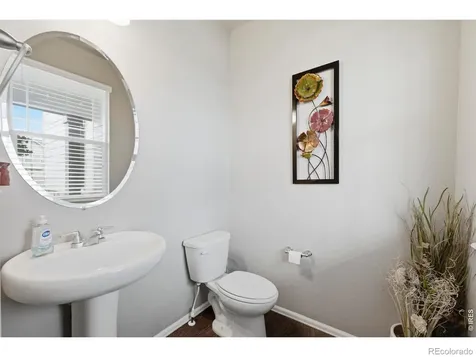 2273 Stonefish Drive Windsor CO 80550