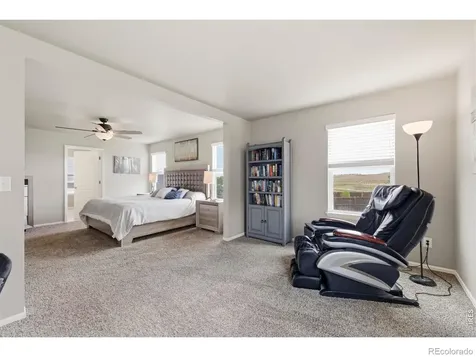 2273 Stonefish Drive Windsor CO 80550