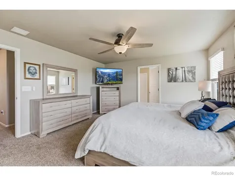 2273 Stonefish Drive Windsor CO 80550
