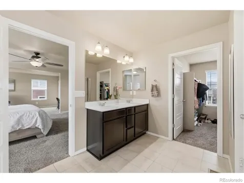 2273 Stonefish Drive Windsor CO 80550