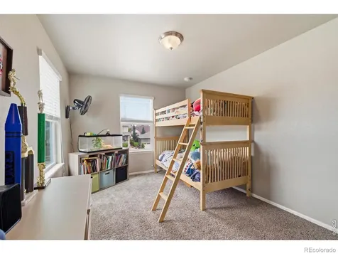 2273 Stonefish Drive Windsor CO 80550