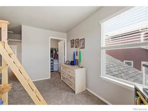 2273 Stonefish Drive Windsor CO 80550