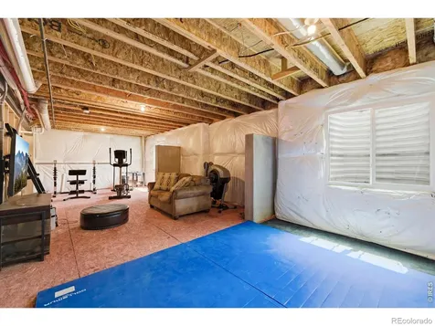 2273 Stonefish Drive Windsor CO 80550
