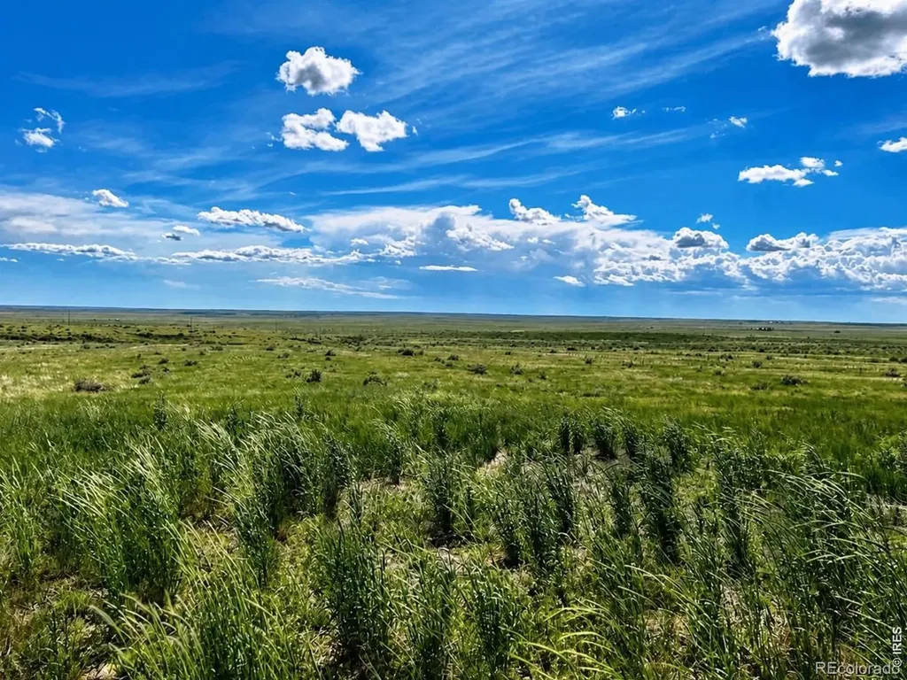 County Road 80 Briggsdale CO 80611