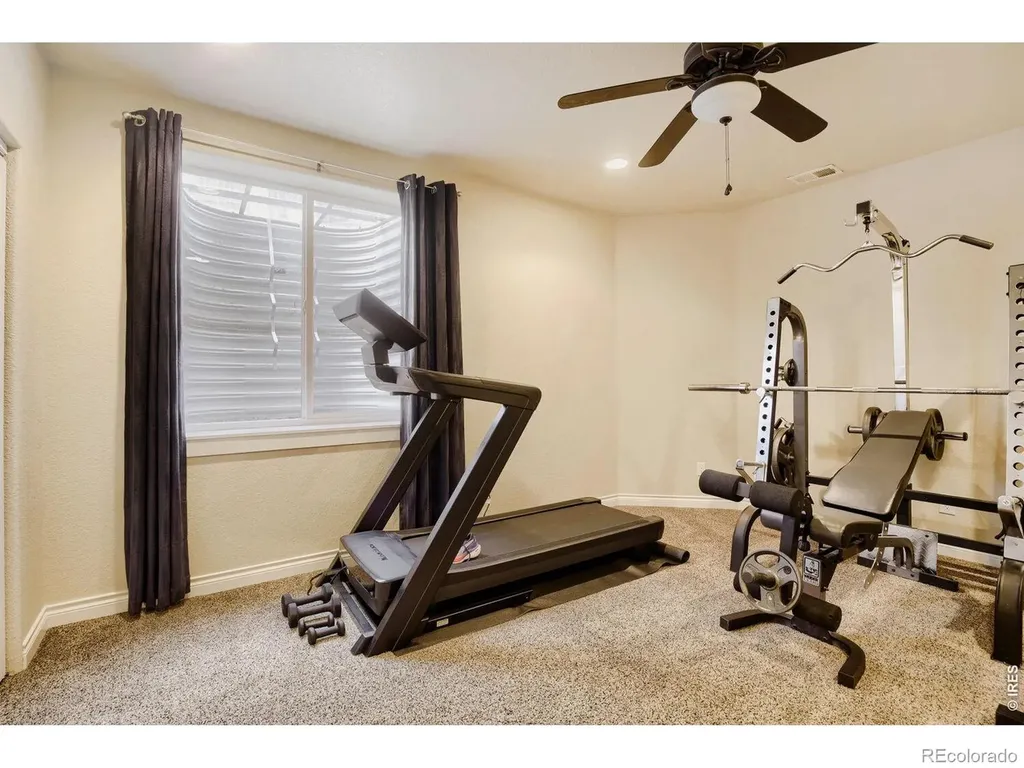 3229 Muskrat Creek Drive Fort Collins CO 80528