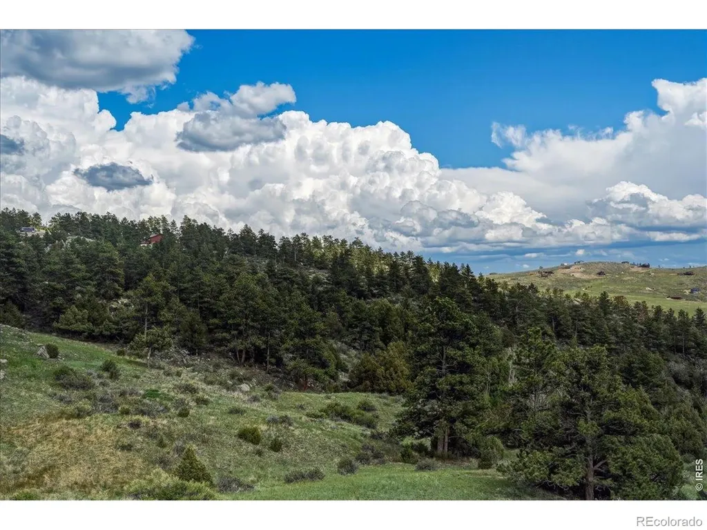 285 Guardian Peak Drive Livermore CO 80536