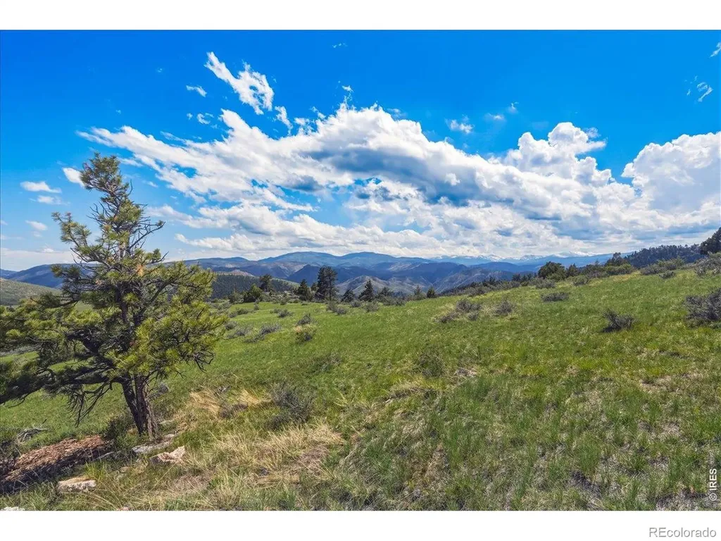 285 Guardian Peak Drive Livermore CO 80536
