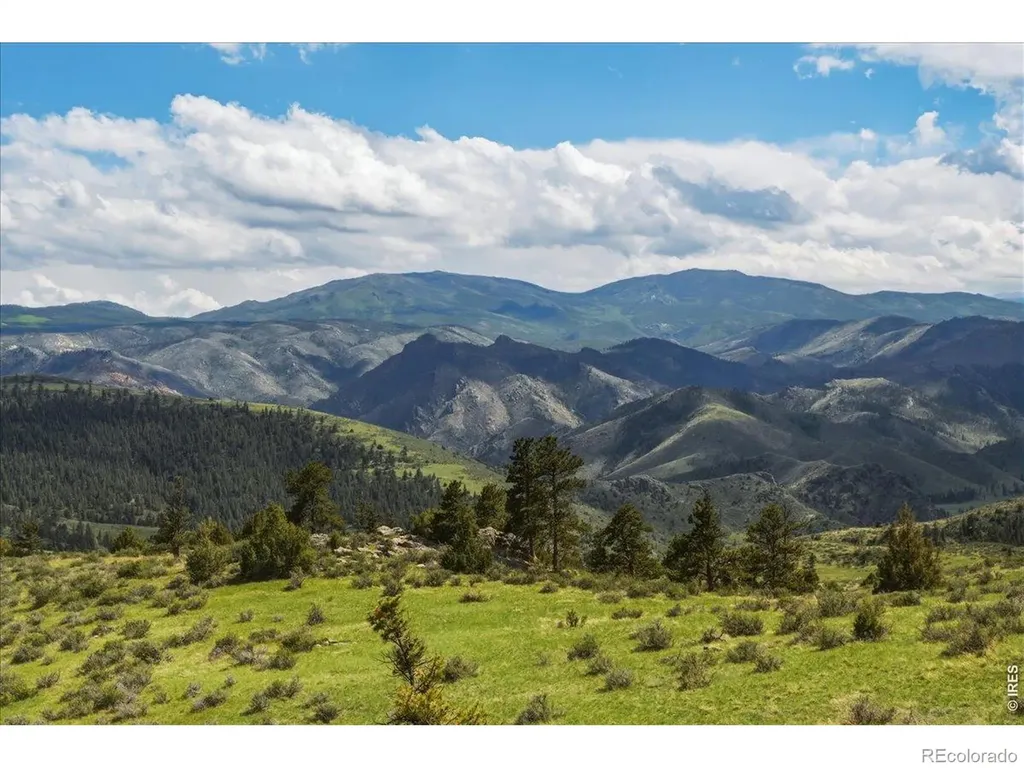 285 Guardian Peak Drive Livermore CO 80536