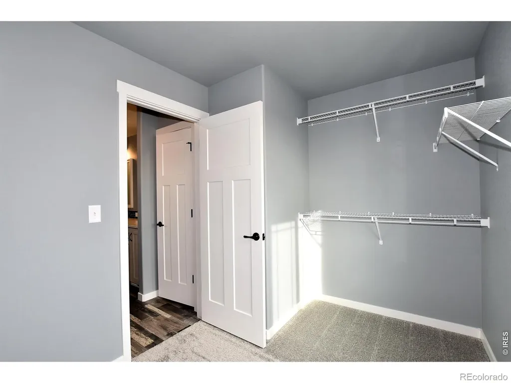 1141 Crown Sparrow Street Johnstown CO 80534