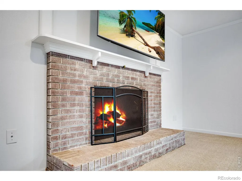 5416 S Timberline Road Fort Collins CO 80528