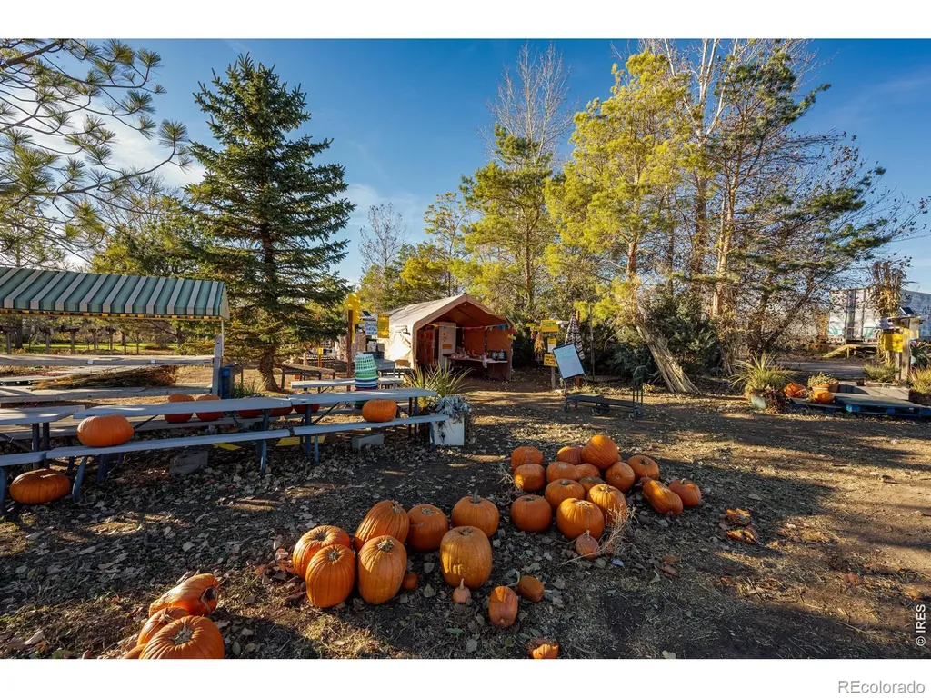 12155 N County Road 15 Wellington CO 80549